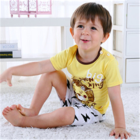 Cartoon Clothing Baby Boy Summer Clothes T-shirt Baby Girl Casual Clothing Sets (Option: Lion-100cm)